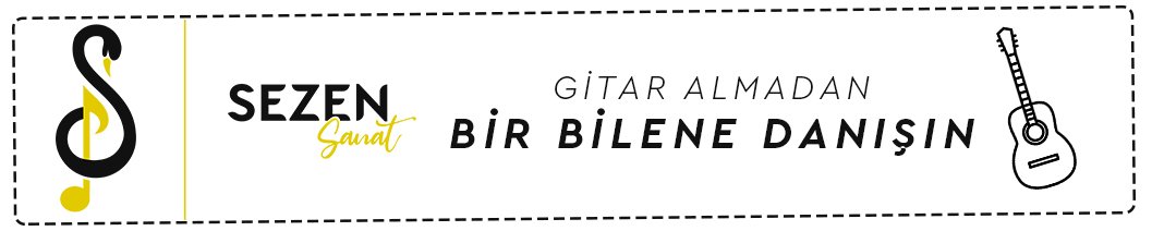 gitar satın alırken dikkat edilenler